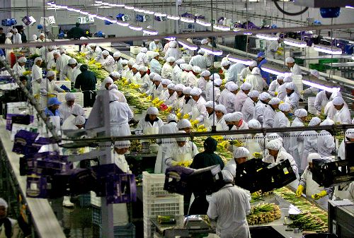 Reformas laborales en proceso ¿En qué consisten?